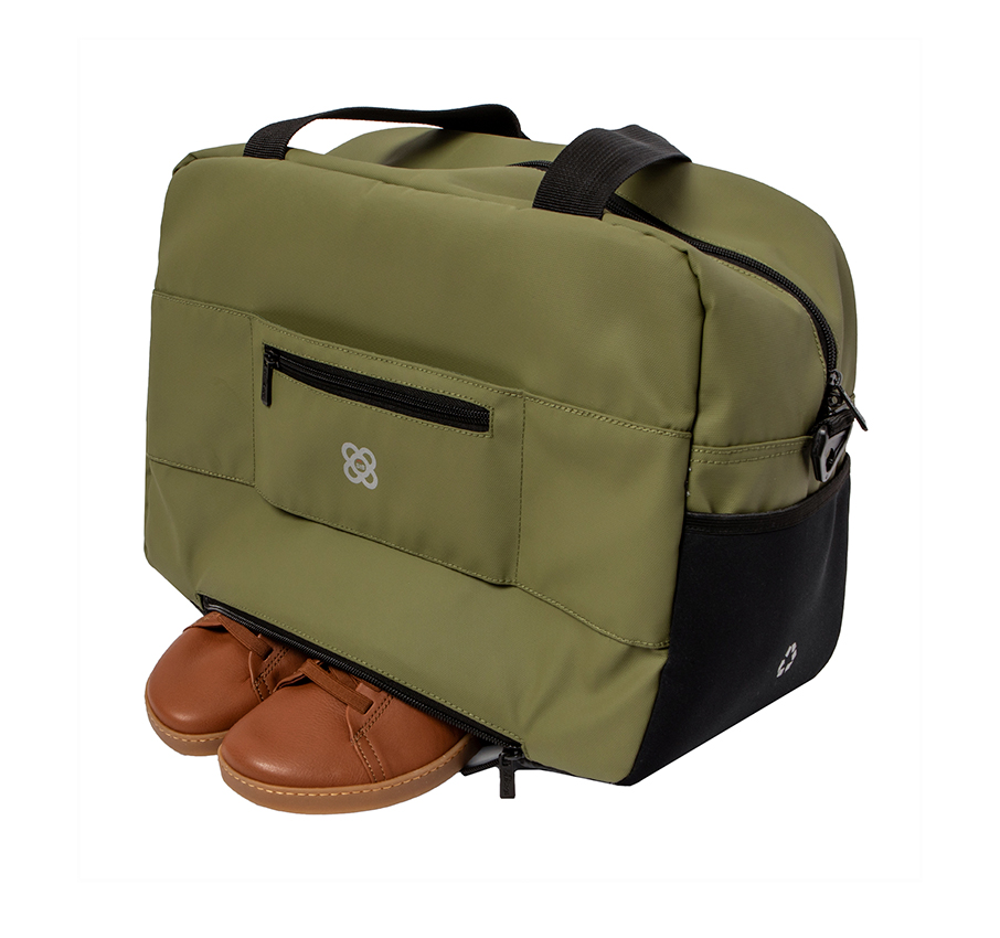 Adventure_Eco Reportero_Underseat Iguana