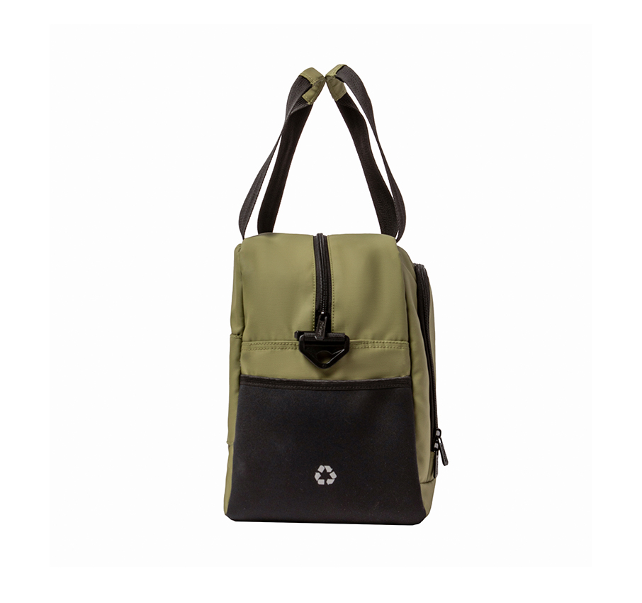 Adventure_Eco Reportero_Underseat Iguana