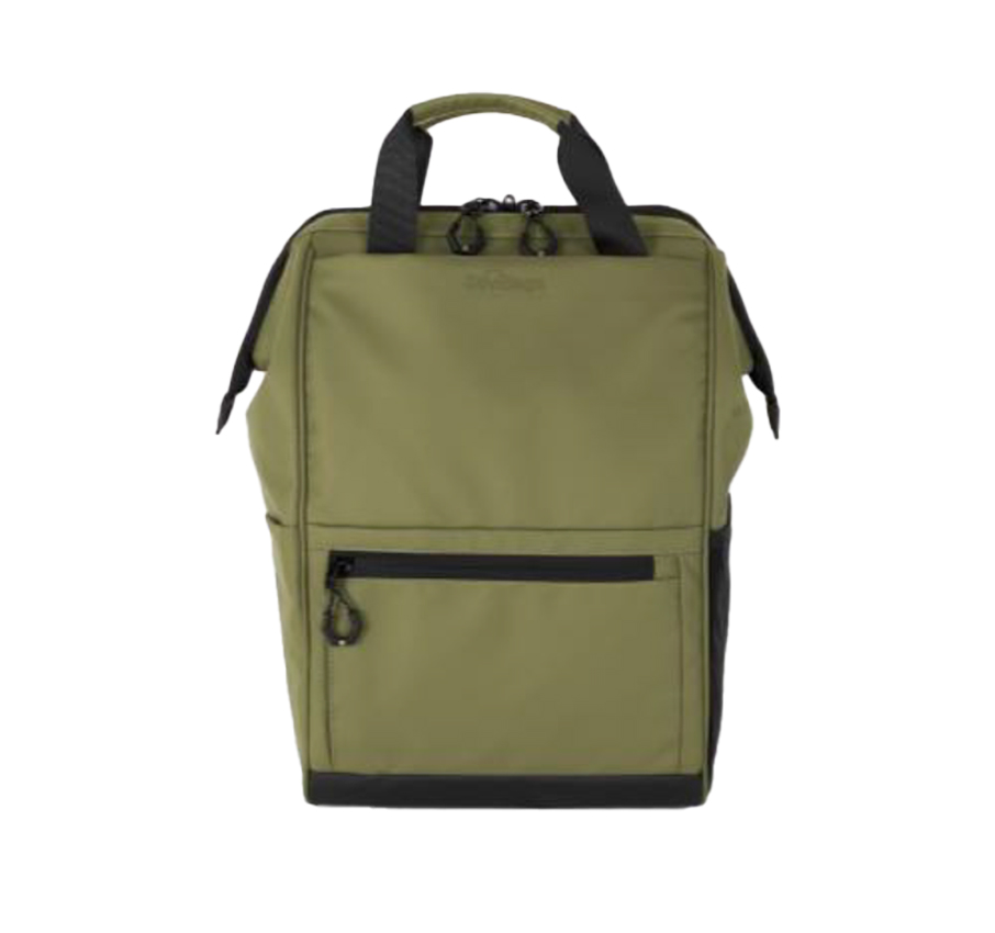 Adventure_Eco Urban Iguana