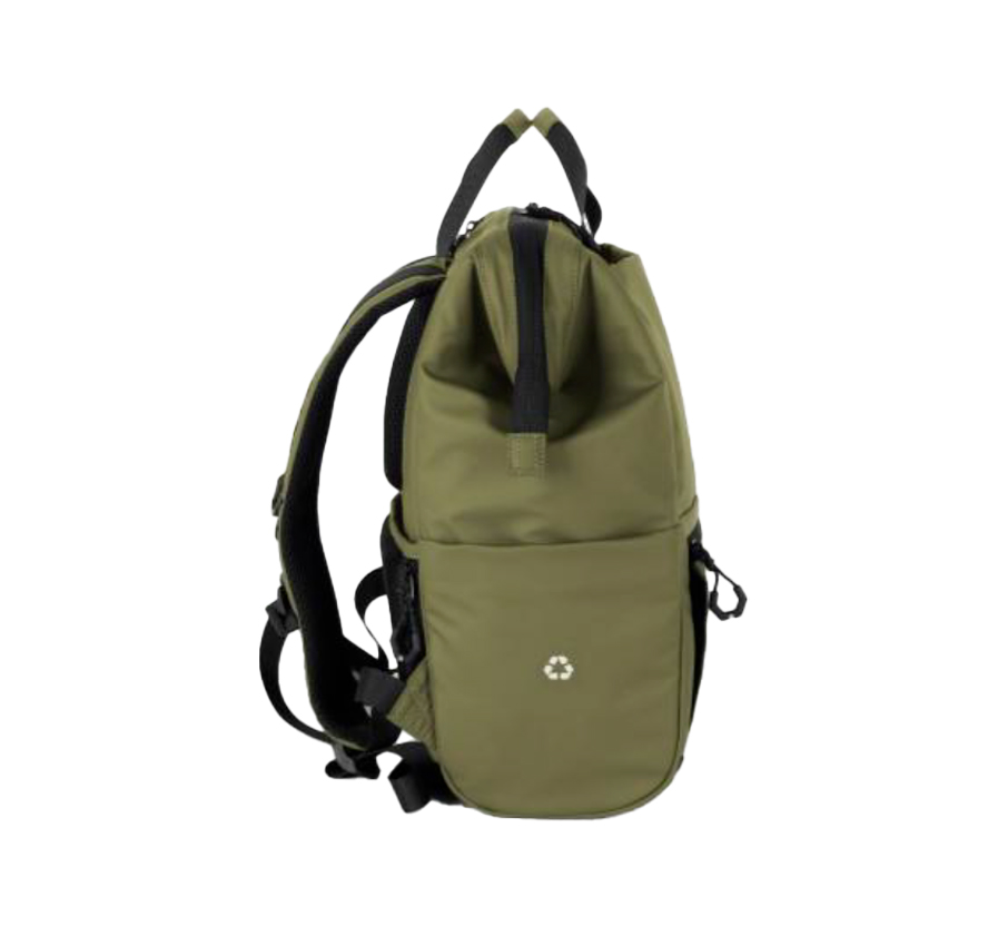 Adventure_Eco Urban Iguana