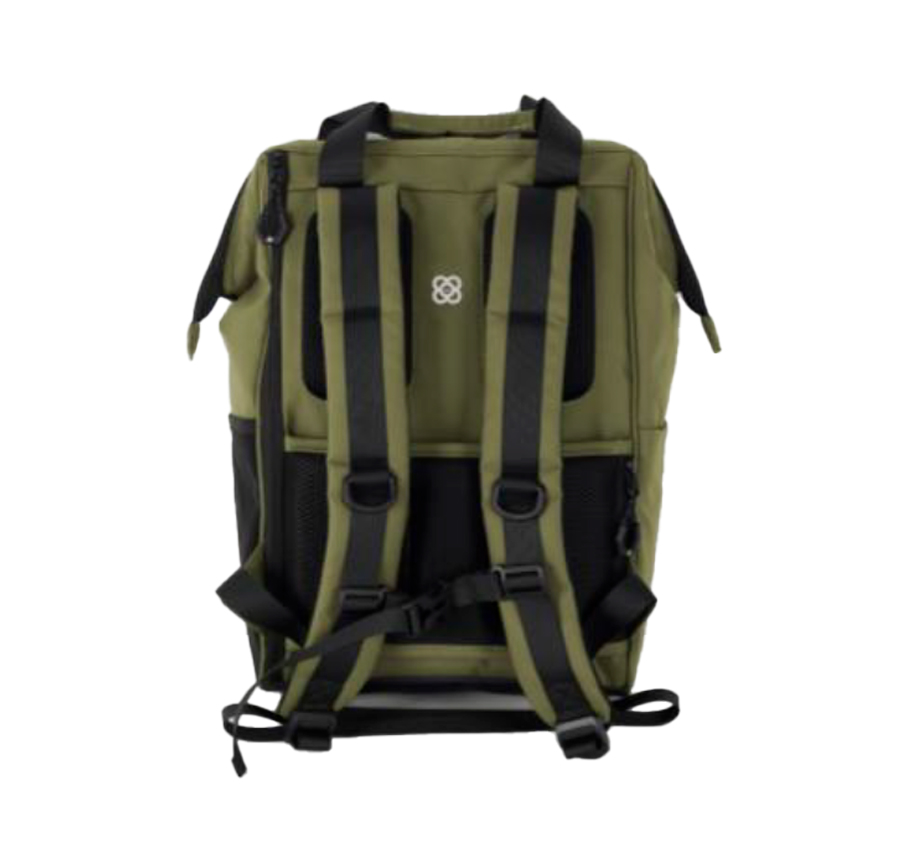 Adventure_Eco Urban Iguana